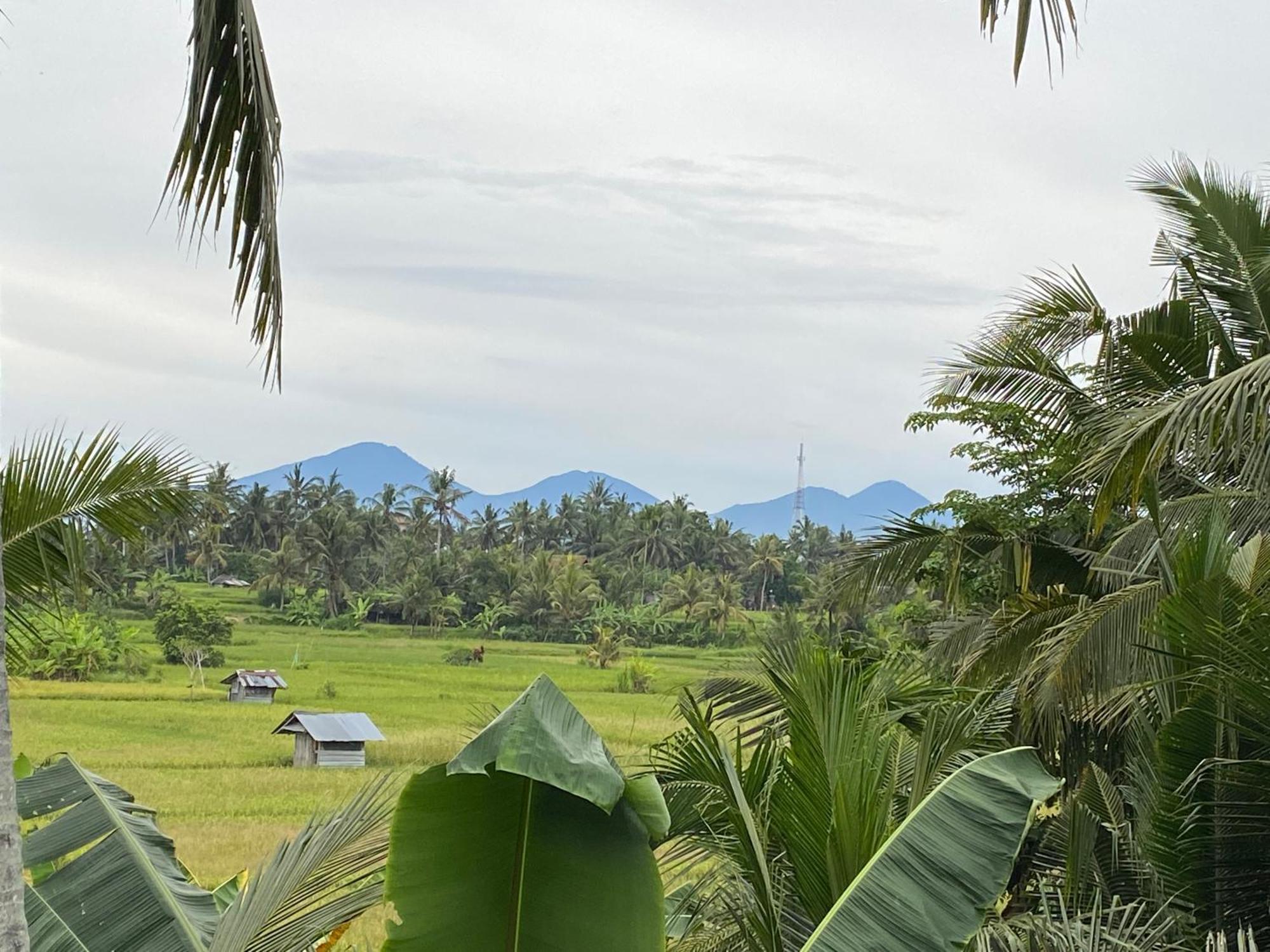 The Shea Ubud Tranquility Villa With Private Pool Экстерьер фото